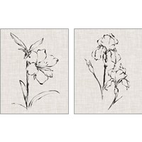 Framed 'Floral Ink Study 2 Piece Art Print Set' border=