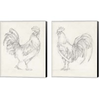 Framed Rooster Sketch 2 Piece Canvas Print Set