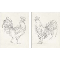 Framed 'Rooster Sketch 2 Piece Art Print Set' border=