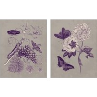 Framed Nature Study in Plum & Taupe 2 Piece Art Print Set