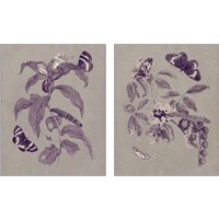 Framed 'Nature Study in Plum & Taupe 2 Piece Art Print Set' border=