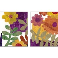 Framed 'Fiesta Floral  2 Piece Art Print Set' border=