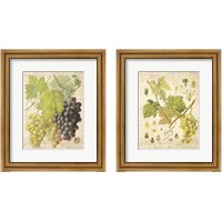 Framed Grapevine  2 Piece Framed Art Print Set