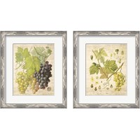 Framed 'Grapevine  2 Piece Framed Art Print Set' border=