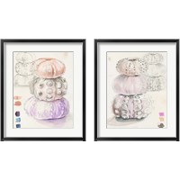 Framed Sea Urchin Sketches 2 Piece Framed Art Print Set