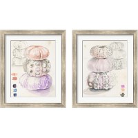 Framed 'Sea Urchin Sketches 2 Piece Framed Art Print Set' border=