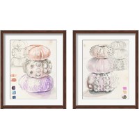 Framed 'Sea Urchin Sketches 2 Piece Framed Art Print Set' border=