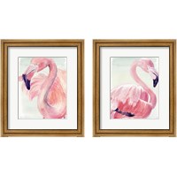 Framed Pastel Flamingo 2 Piece Framed Art Print Set