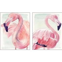 Framed 'Pastel Flamingo 2 Piece Art Print Set' border=