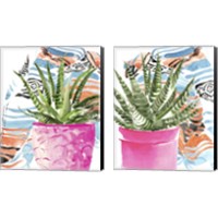 Framed Zebra Succulent 2 Piece Canvas Print Set