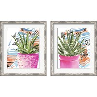 Framed 'Zebra Succulent 2 Piece Framed Art Print Set' border=