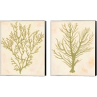 Framed 'Deep Sea Coral 2 Piece Canvas Print Set' border=