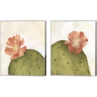 Framed 'Arid Bloom 2 Piece Canvas Print Set' border=