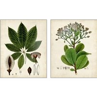 Framed 'Verdant Foliage 2 Piece Art Print Set' border=