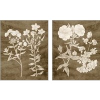 Framed 'Botanical in Taupe 2 Piece Art Print Set' border=
