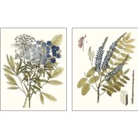 Framed 'Lacy Leaves 2 Piece Art Print Set' border=