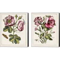 Framed 'Pink Florals 2 Piece Canvas Print Set' border=