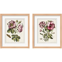 Framed 'Pink Florals 2 Piece Framed Art Print Set' border=
