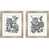 Framed 'Flowers in Grey 2 Piece Framed Art Print Set' border=