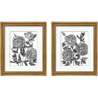 Framed Flowers in Grey 2 Piece Framed Art Print Set