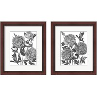 Framed Flowers in Grey 2 Piece Framed Art Print Set