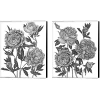 Framed 'Flowers in Grey 2 Piece Canvas Print Set' border=