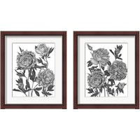 Framed 'Flowers in Grey 2 Piece Framed Art Print Set' border=