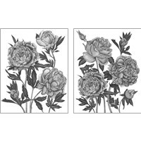 Framed Flowers in Grey 2 Piece Art Print Set