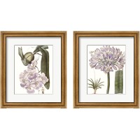 Framed 'Lavender Beauties 2 Piece Framed Art Print Set' border=