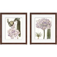 Framed 'Lavender Beauties 2 Piece Framed Art Print Set' border=