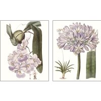 Framed 'Lavender Beauties 2 Piece Art Print Set' border=