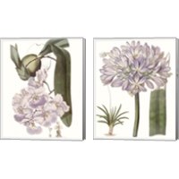 Framed 'Lavender Beauties 2 Piece Canvas Print Set' border=