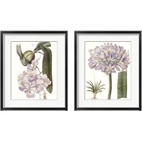 Framed 'Lavender Beauties 2 Piece Framed Art Print Set' border=