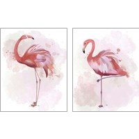 Framed 'Fluffy Flamingo 2 Piece Art Print Set' border=