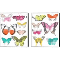 Framed 'Chromatic Butterflies 2 Piece Canvas Print Set' border=