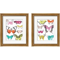 Framed 'Chromatic Butterflies 2 Piece Framed Art Print Set' border=