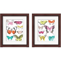 Framed Chromatic Butterflies 2 Piece Framed Art Print Set
