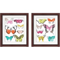 Framed Chromatic Butterflies 2 Piece Framed Art Print Set