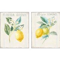 Framed 'Floursack Lemon 2 Piece Art Print Set' border=