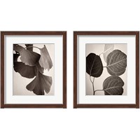 Framed 'Eucalyptus Sepia 2 Piece Framed Art Print Set' border=