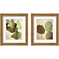 Framed Eucalyptus Color 2 Piece Framed Art Print Set