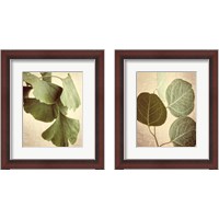 Framed Eucalyptus Color 2 Piece Framed Art Print Set