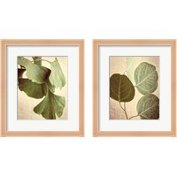 Framed 'Eucalyptus Color 2 Piece Framed Art Print Set' border=