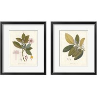 Framed 'Botanical Gardenia 2 Piece Framed Art Print Set' border=