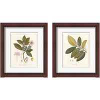 Framed Botanical Gardenia 2 Piece Framed Art Print Set