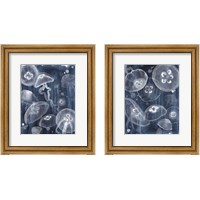 Framed Moon Jellies 2 Piece Framed Art Print Set