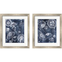 Framed 'Moon Jellies 2 Piece Framed Art Print Set' border=
