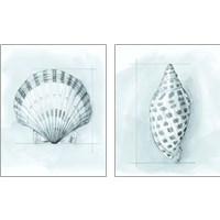 Framed 'Coastal Shell Schematic 2 Piece Art Print Set' border=