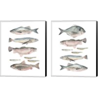 Framed 'Fish Composition 2 Piece Canvas Print Set' border=