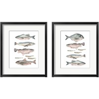 Framed Fish Composition 2 Piece Framed Art Print Set